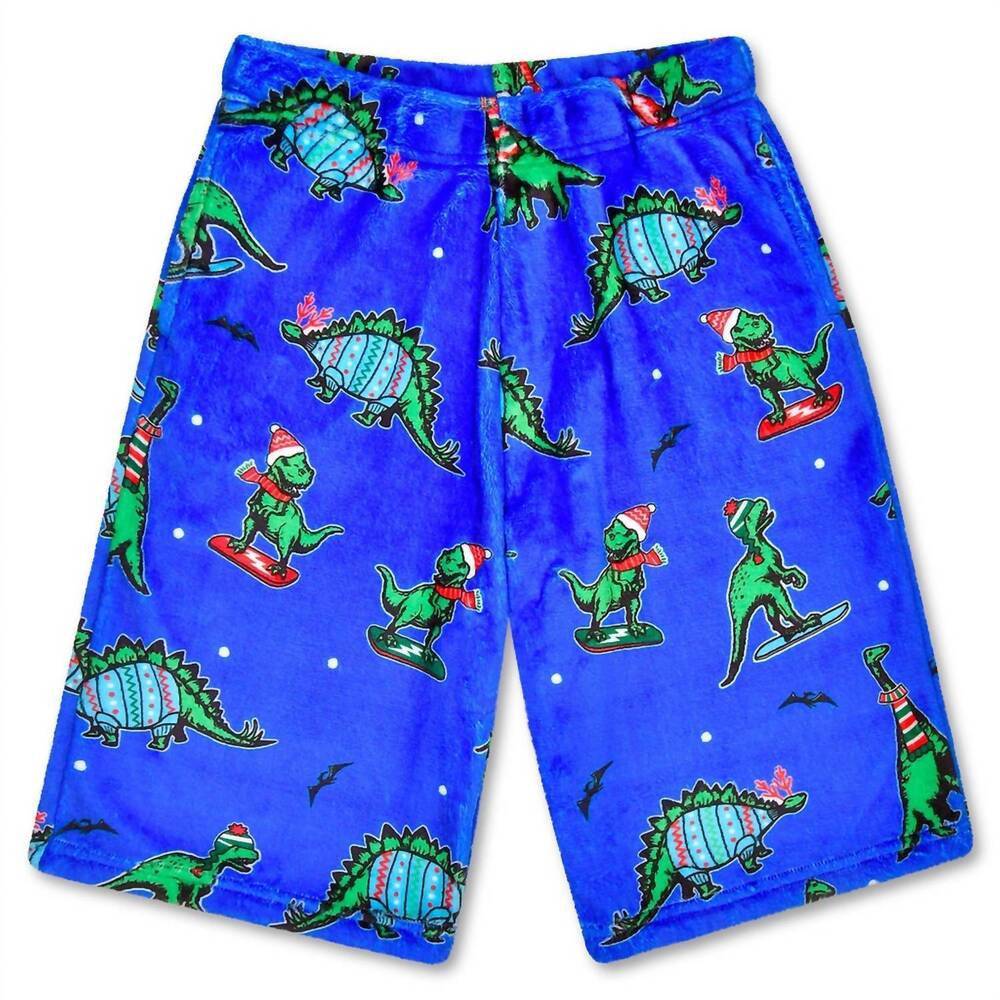 NEW ISCREAM men's holiday dino plush board shorts in blue